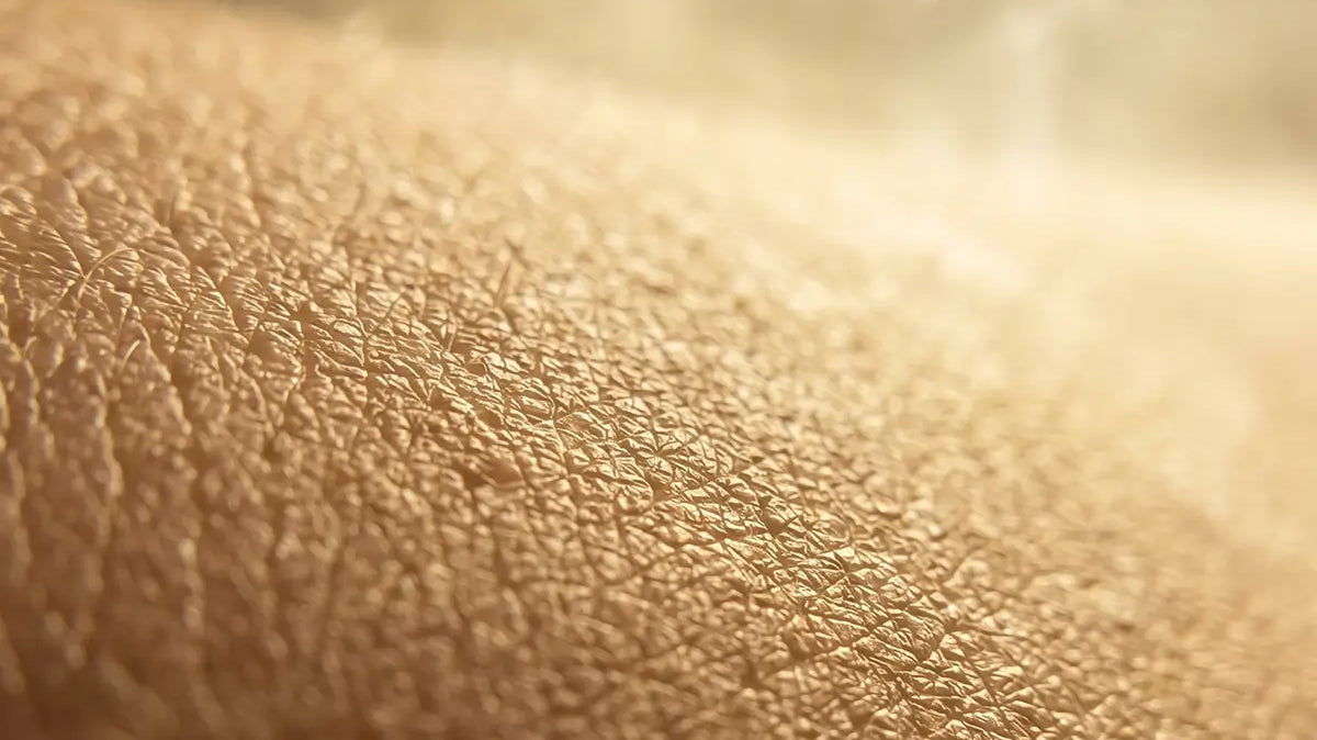 Extreme close-up macro photograph of skin texture, clean, pore-level detail, warm lighting