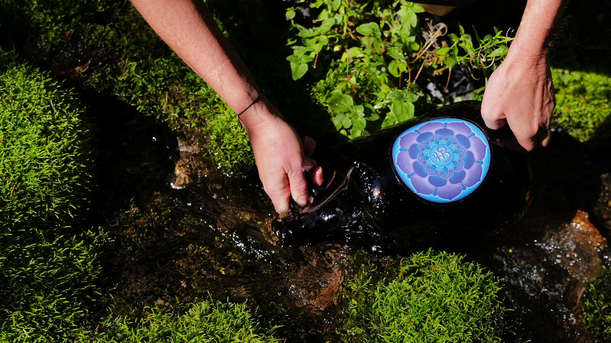 Collecting Water from our Mountain Spring
