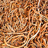 Valerian root