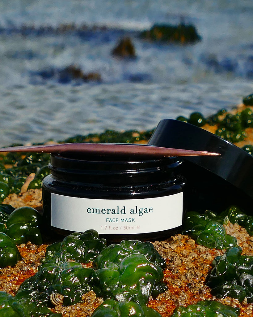 ISUN Emerald Algae Face Mask 50ml by the sea