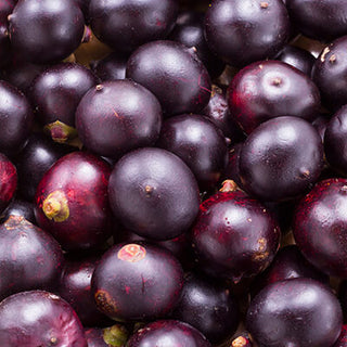 Acai