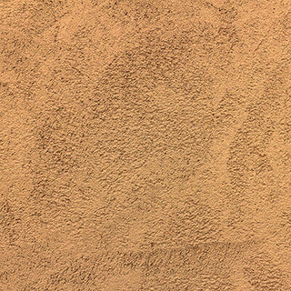Diatomaceous earth