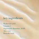 List of key ingredients on a beige background