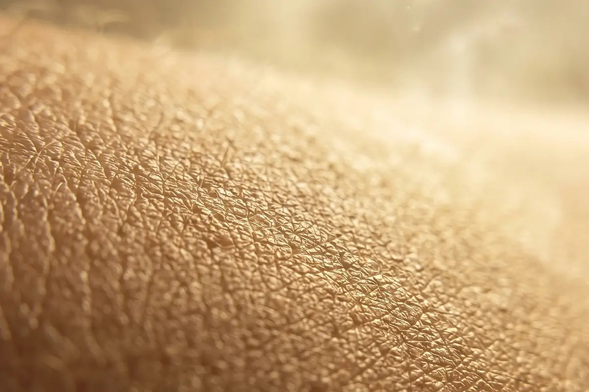 Close-up of human skin texture