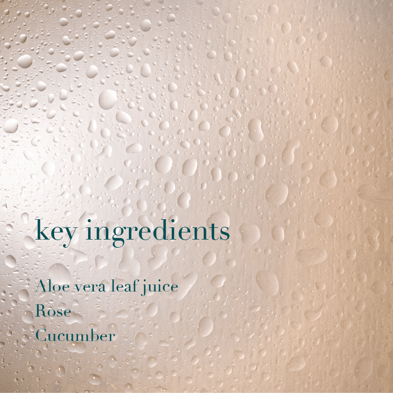 Text overlay on a textured background with 'key ingredients' and listed items.