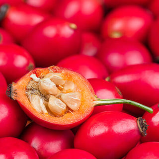 Rosehip