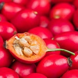 Rosehip