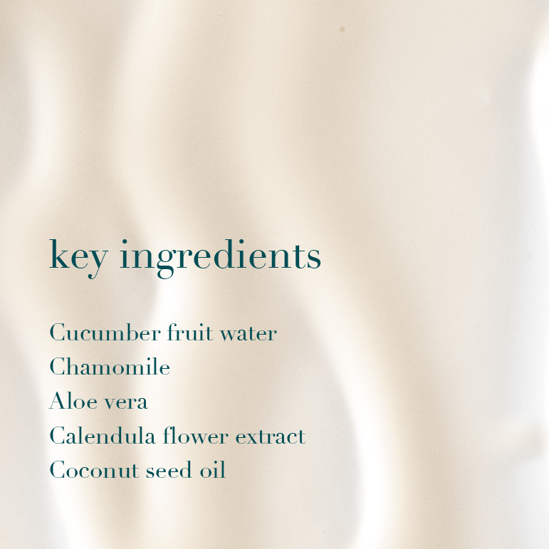 List of key ingredients on a blurred background