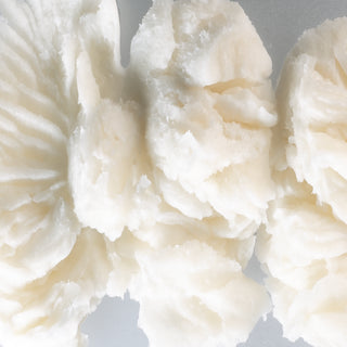 Shea butter