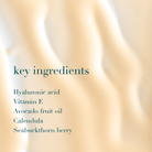 List of key ingredients on a beige background