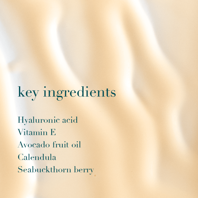 List of key ingredients on a beige background